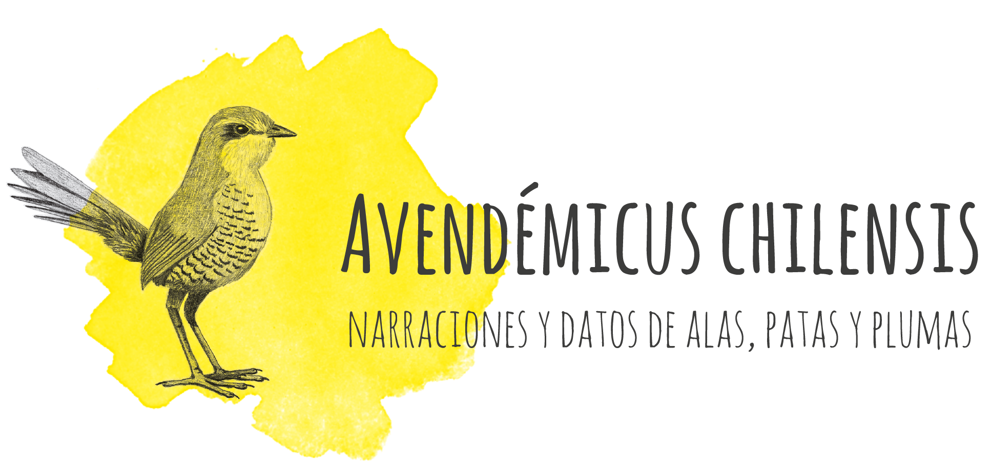 logoAvendémicus